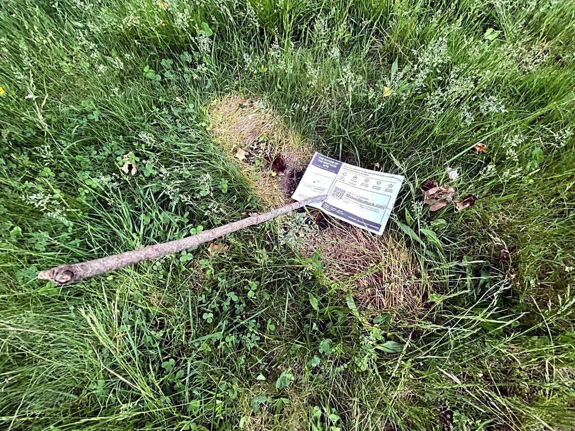 Image submitted with report