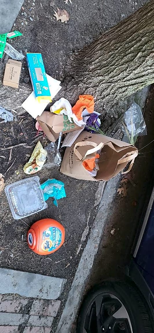 Image submitted with report