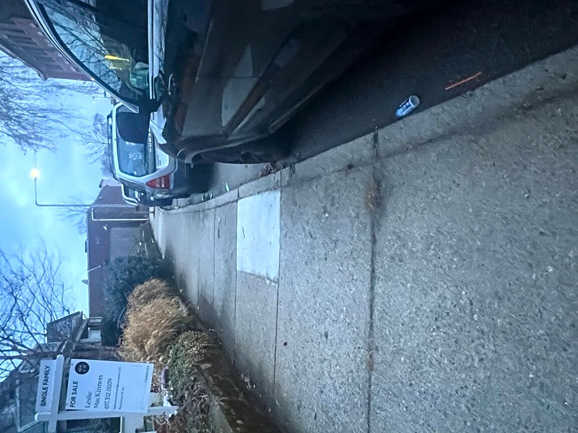 Image submitted with report