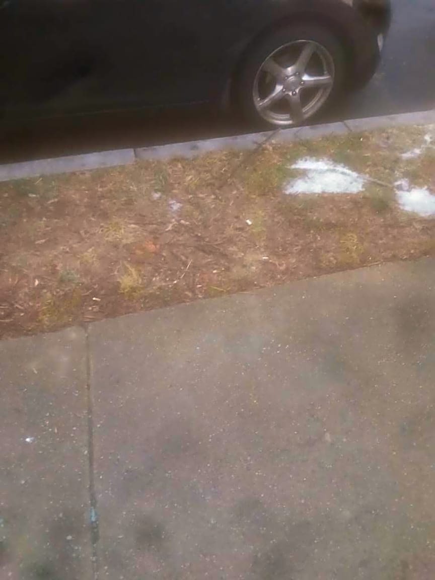 Image submitted with report