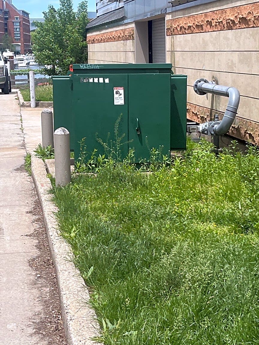 Image submitted with report