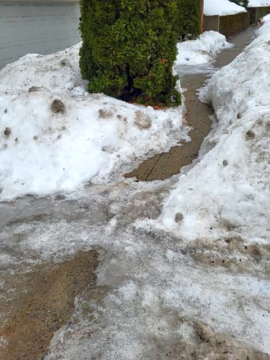 Image submitted with report