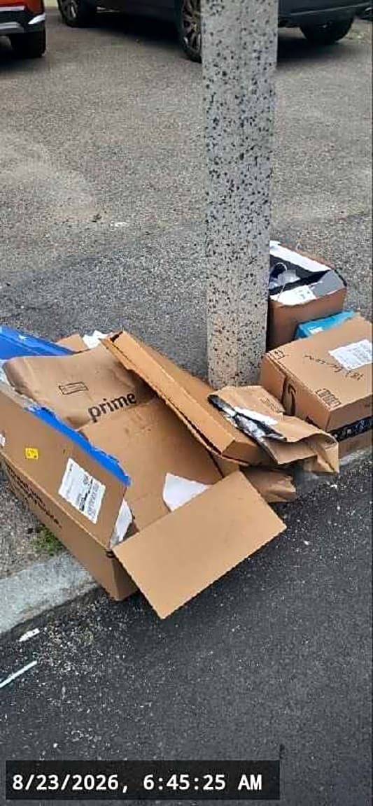 Image submitted with report
