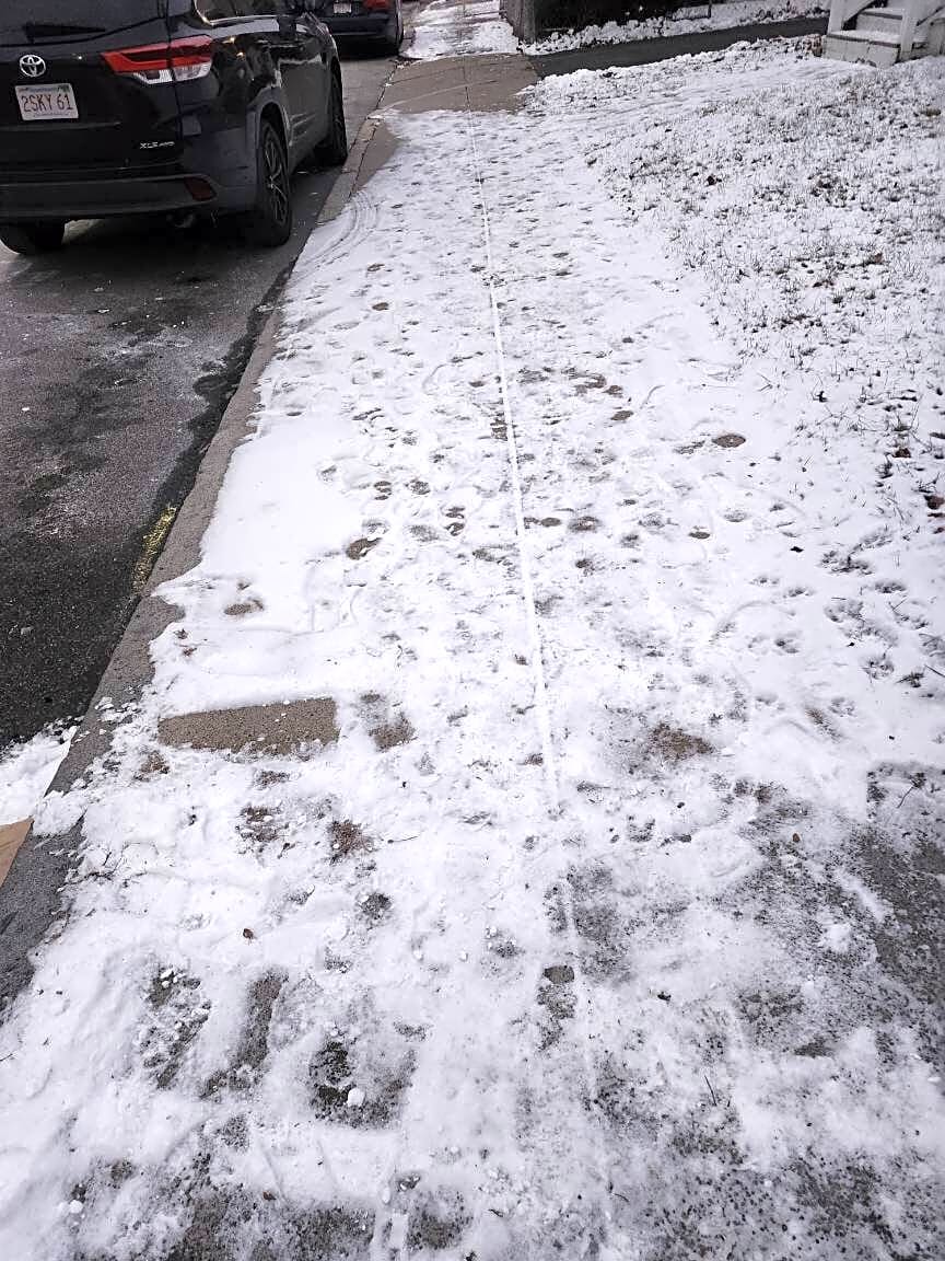 Image submitted with report