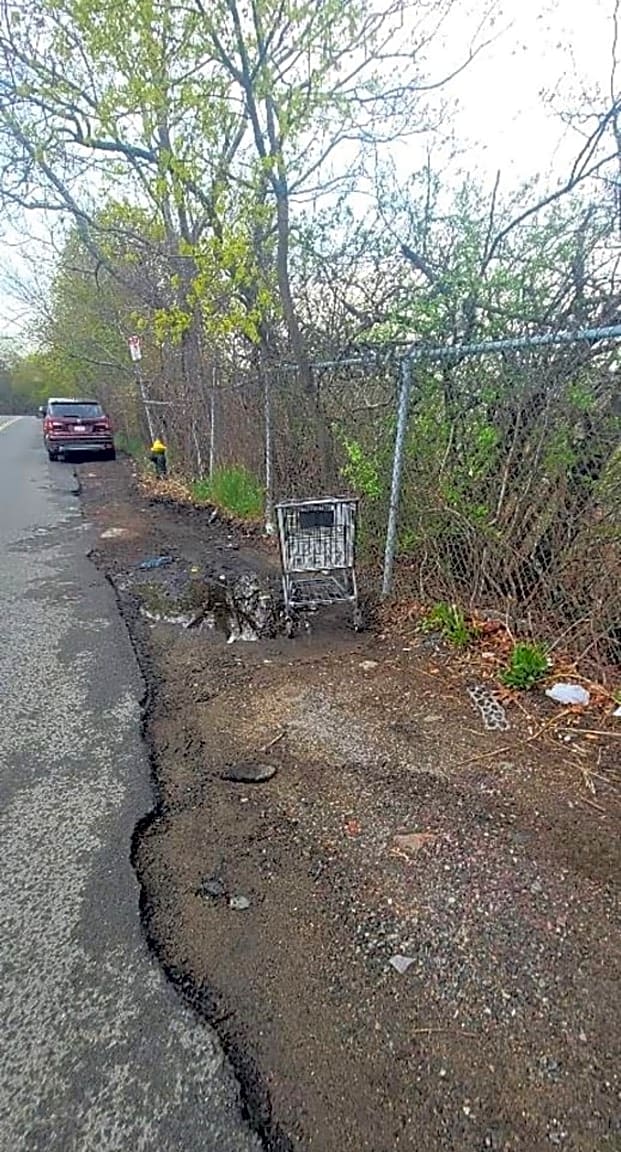 Image submitted with report