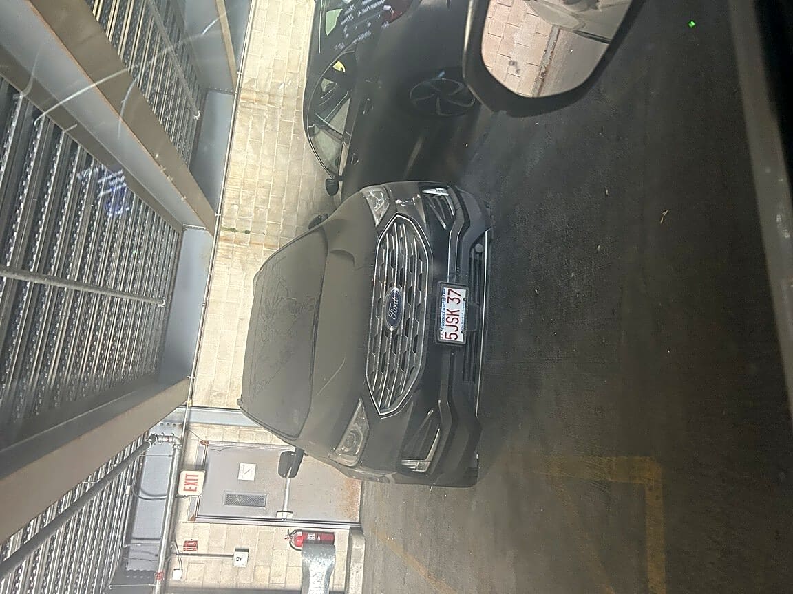 Image submitted with report