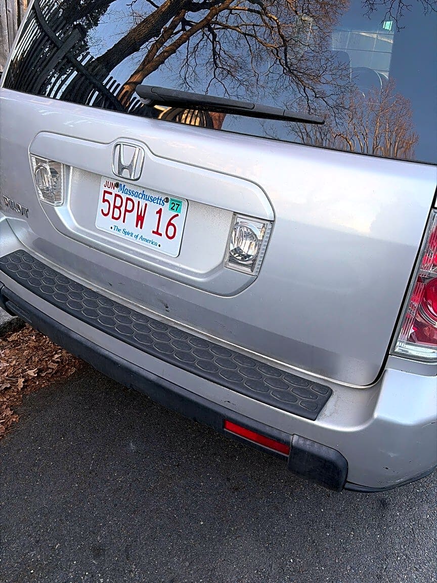 Image submitted with report