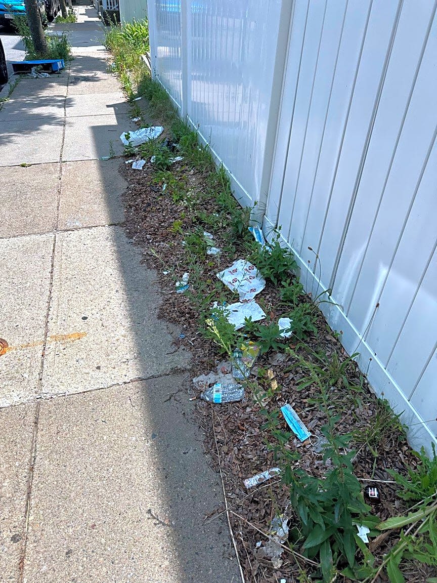 Image submitted with report