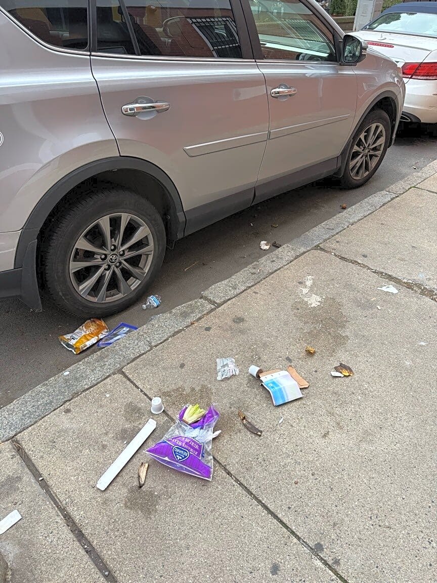 Image submitted with report