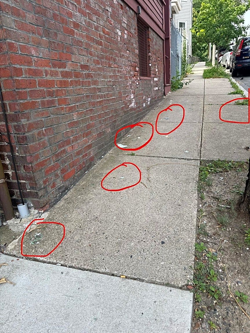 Image submitted with report