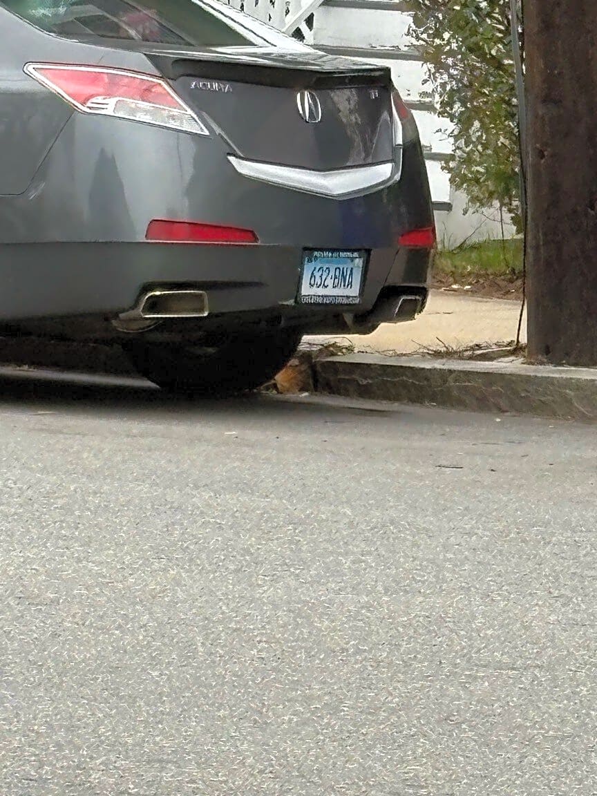 Image submitted with report