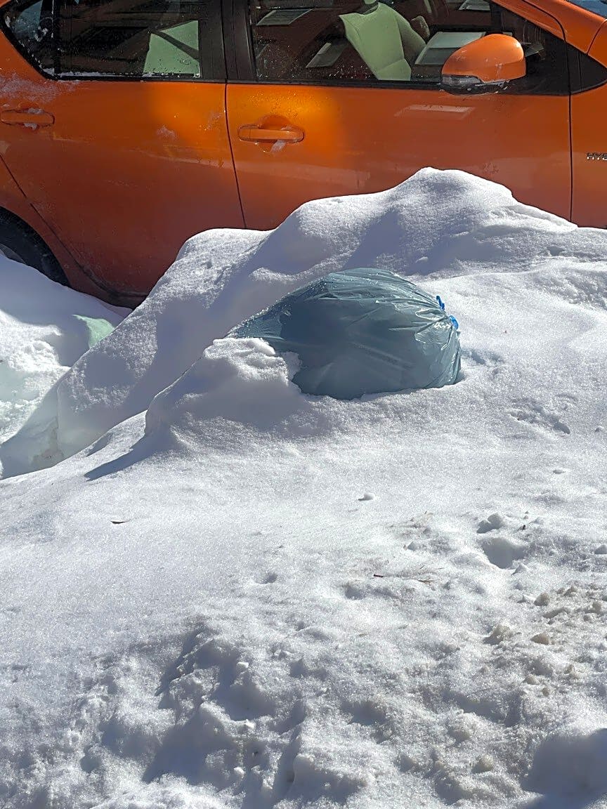 Image submitted with report