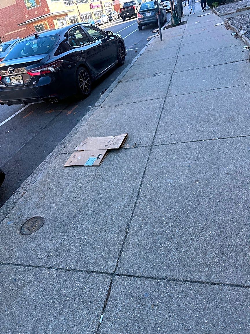 Image submitted with report