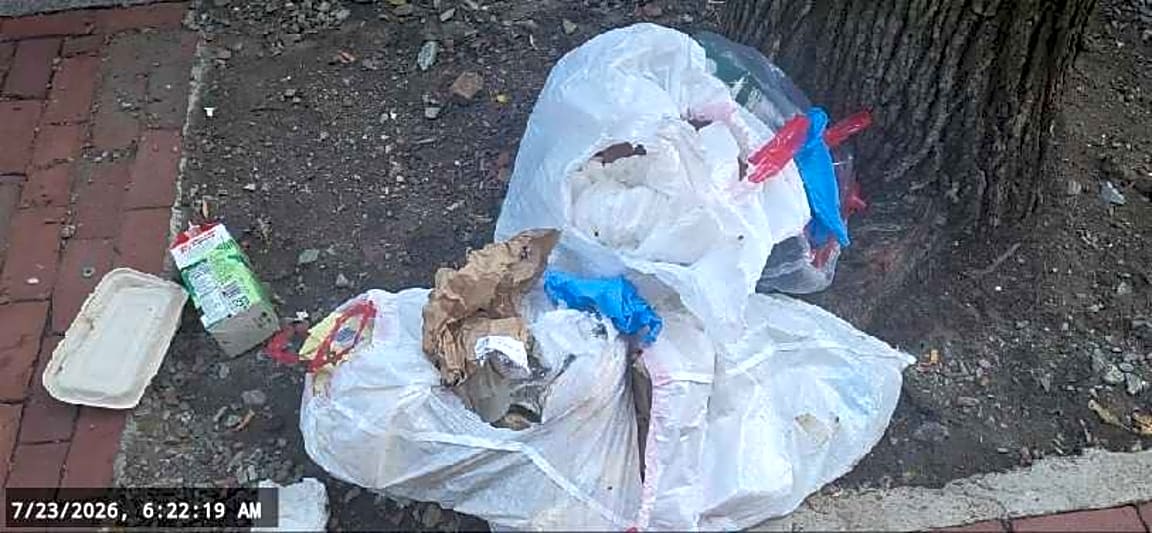Image submitted with report
