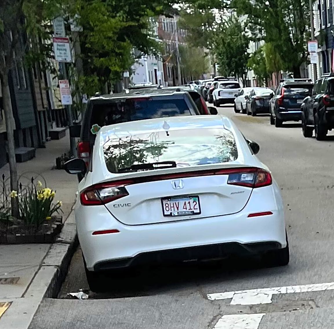 Image submitted with report