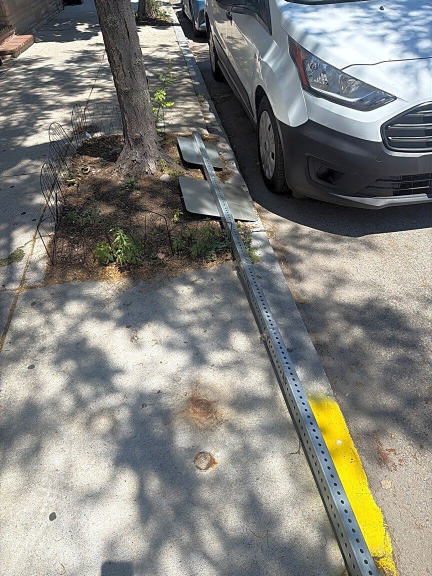 Image submitted with report