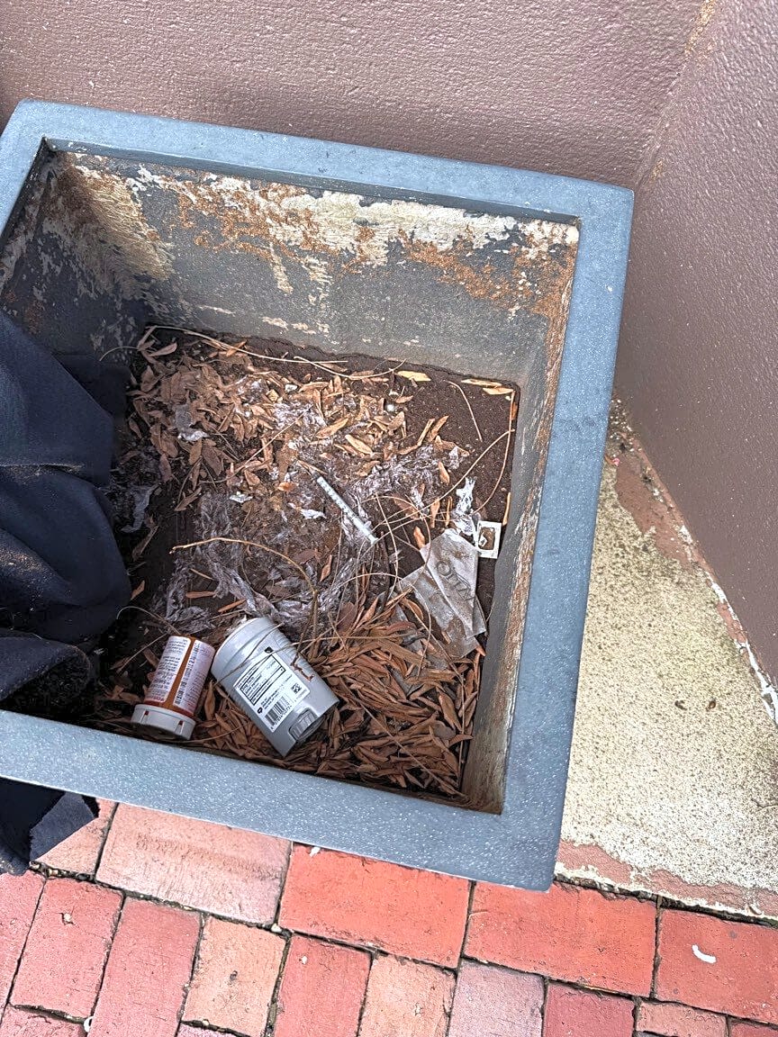 Image submitted with report