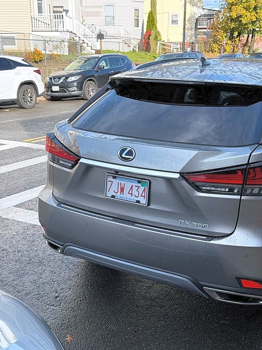 Image submitted with report