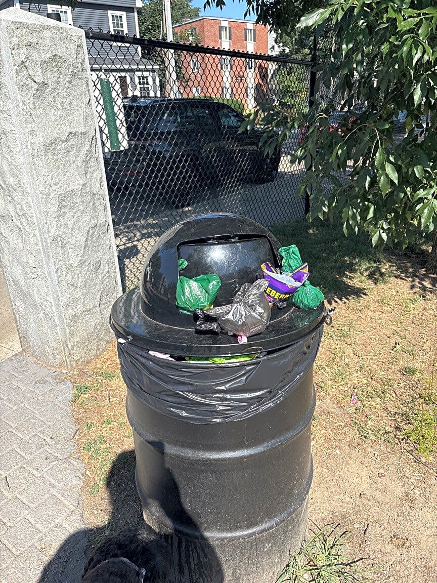 Image submitted with report