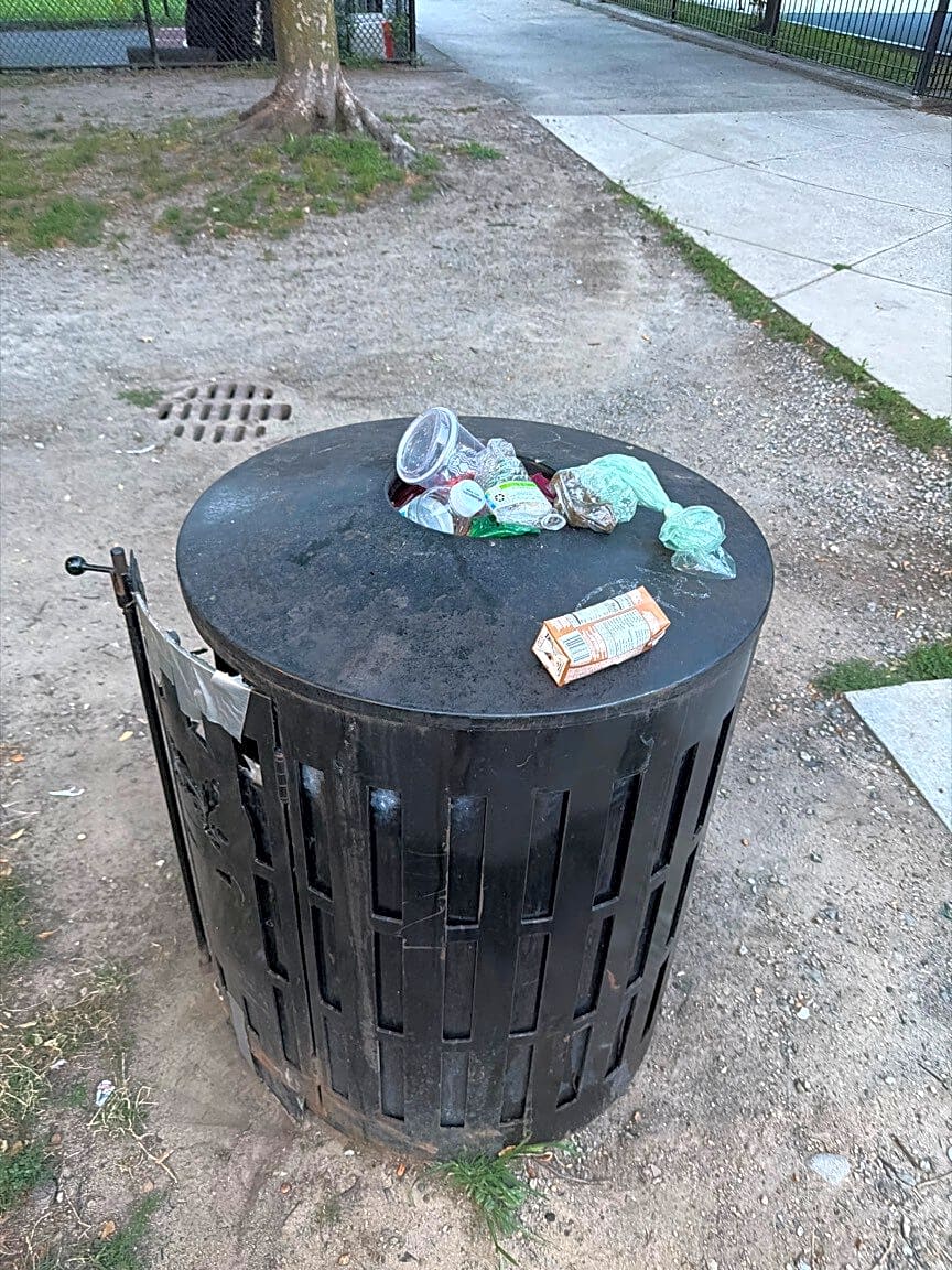 Image submitted with report