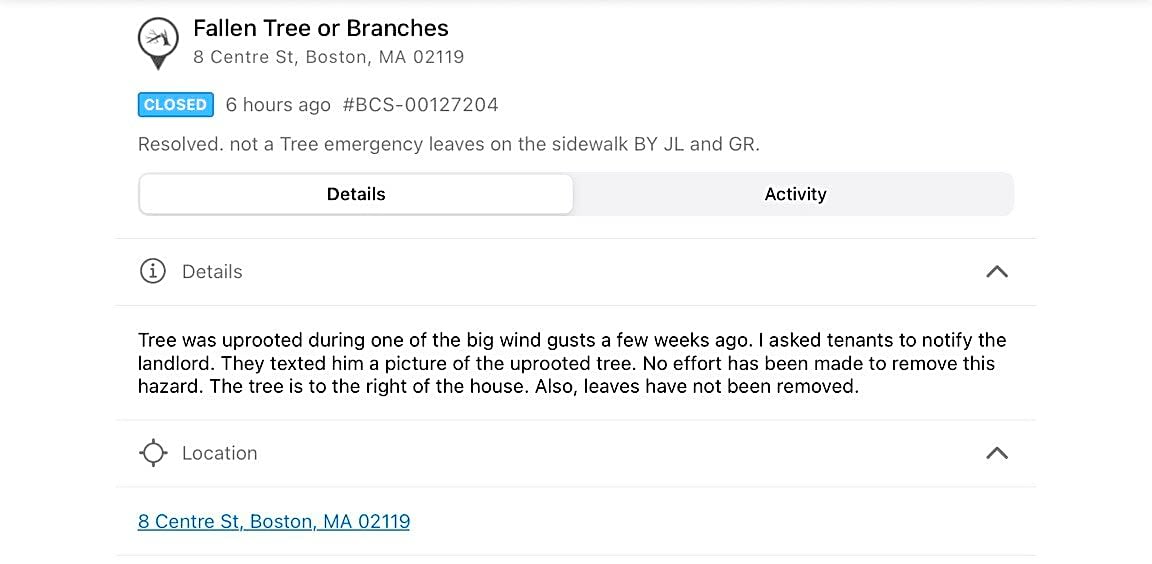 Image submitted with report