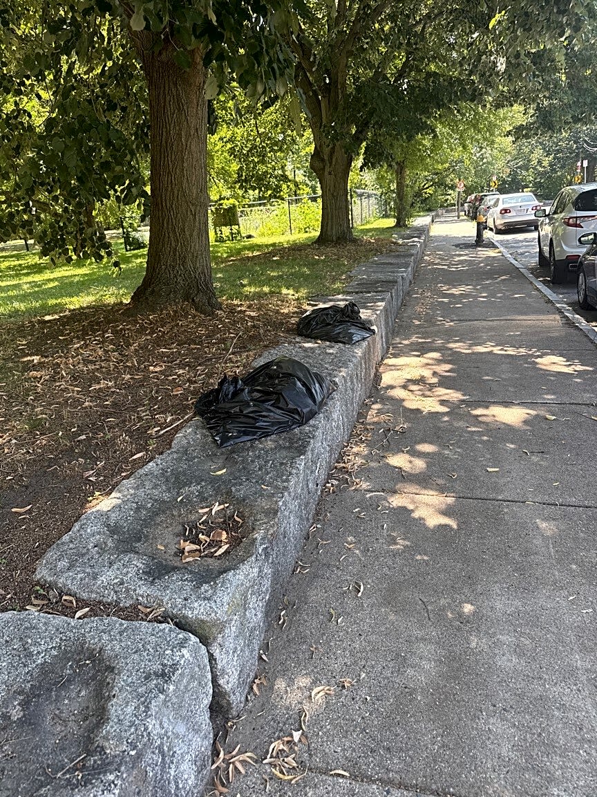 Image submitted with report