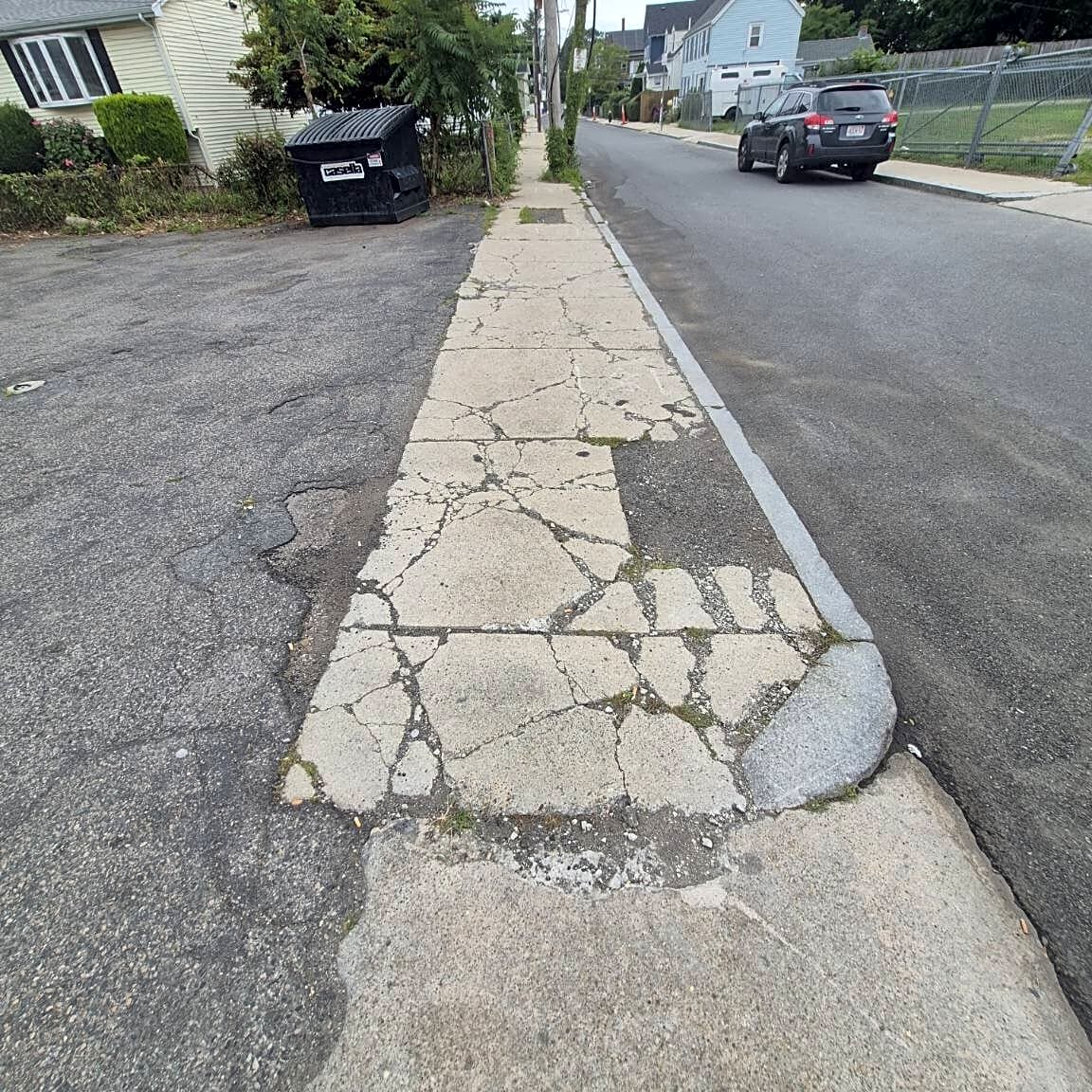 Image submitted with report
