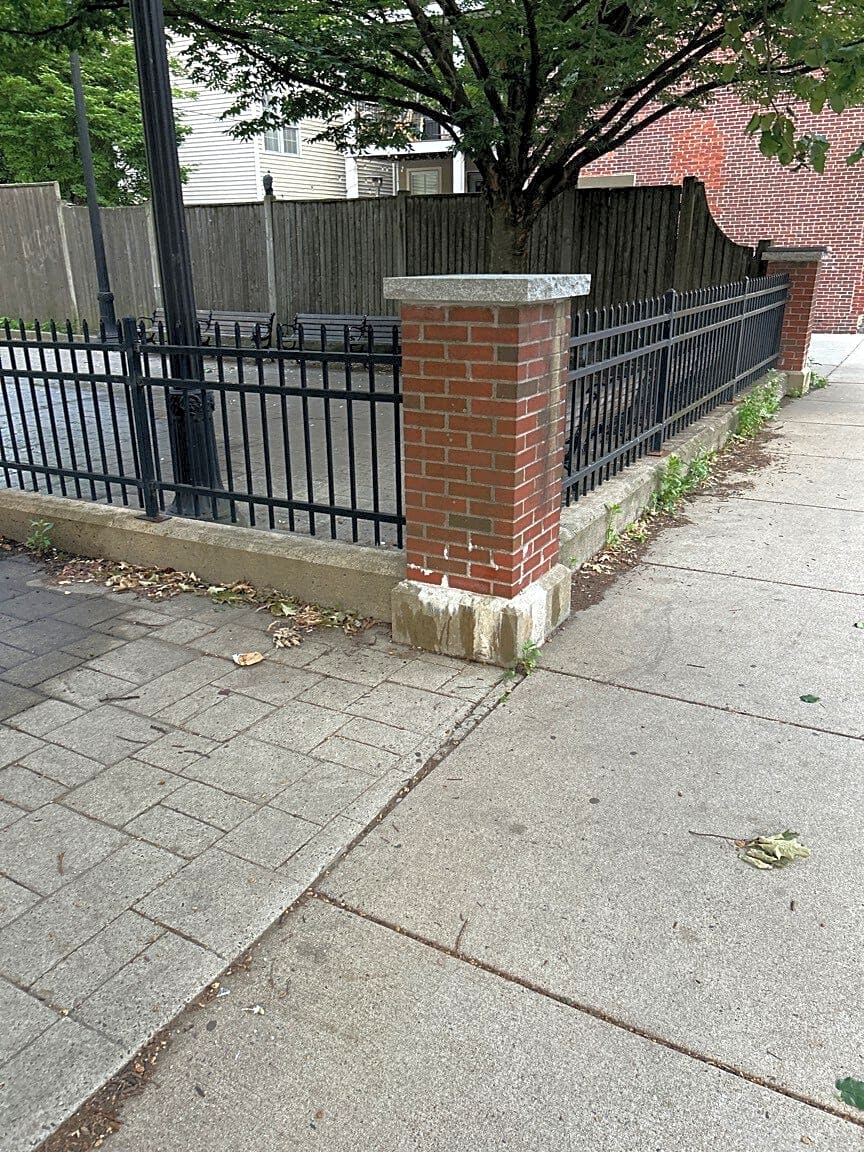 Image submitted with report