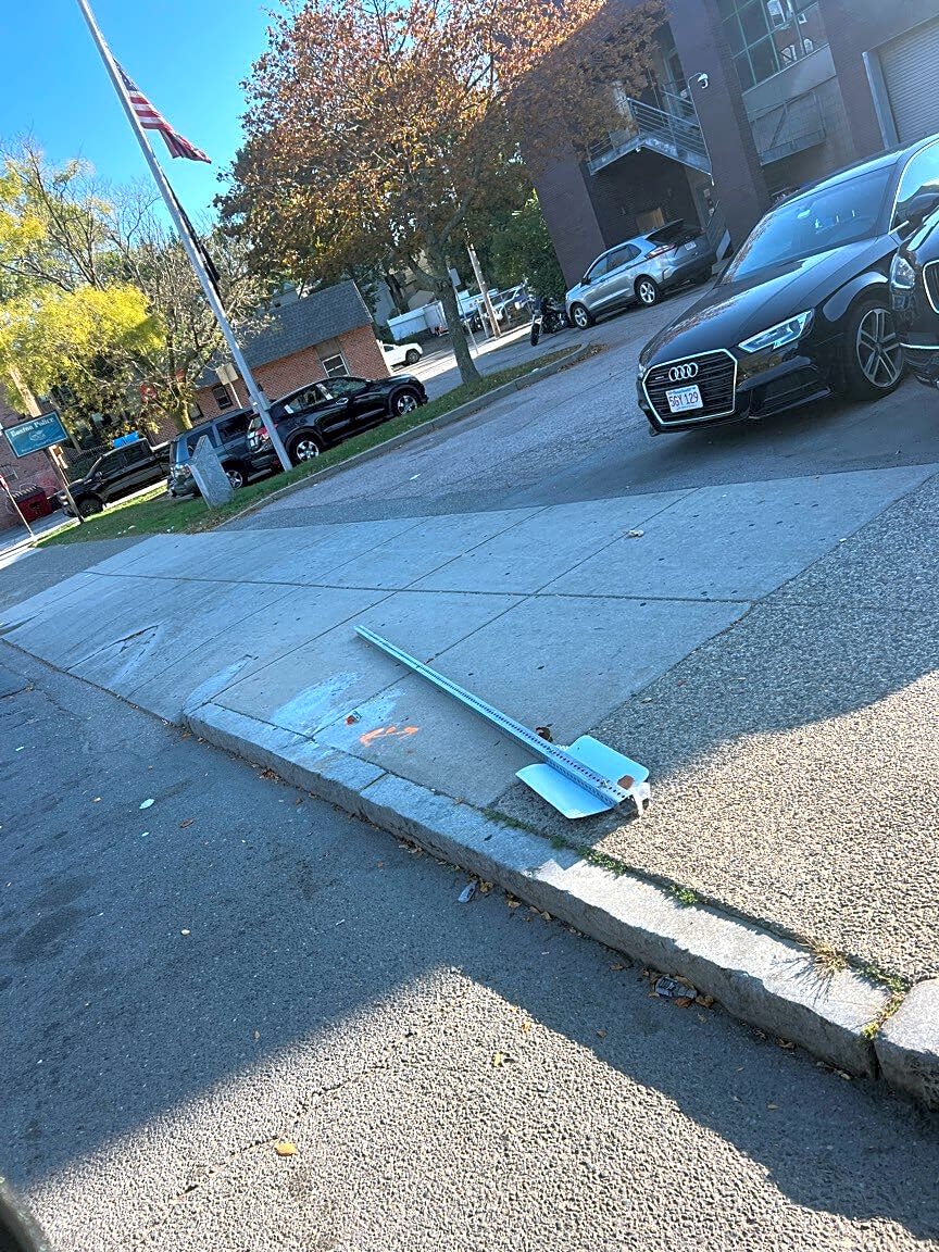 Image submitted with report