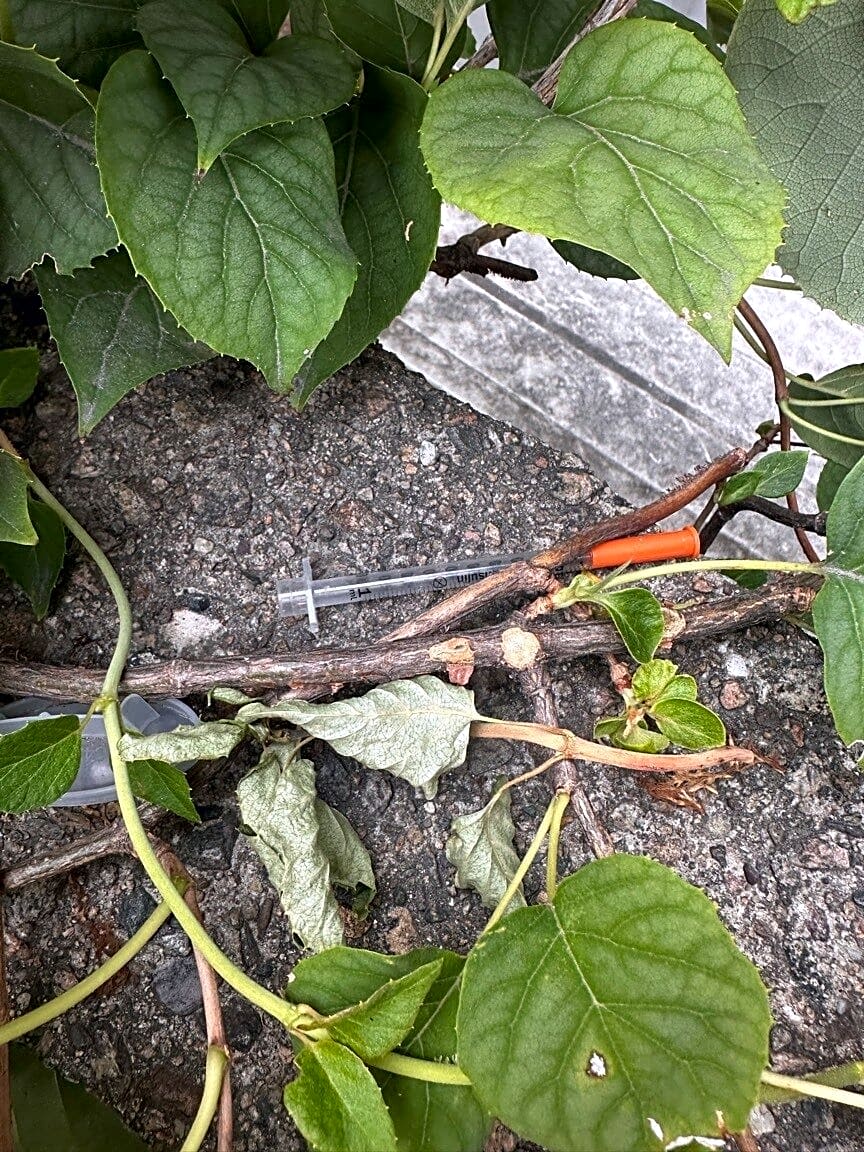 Image submitted with report