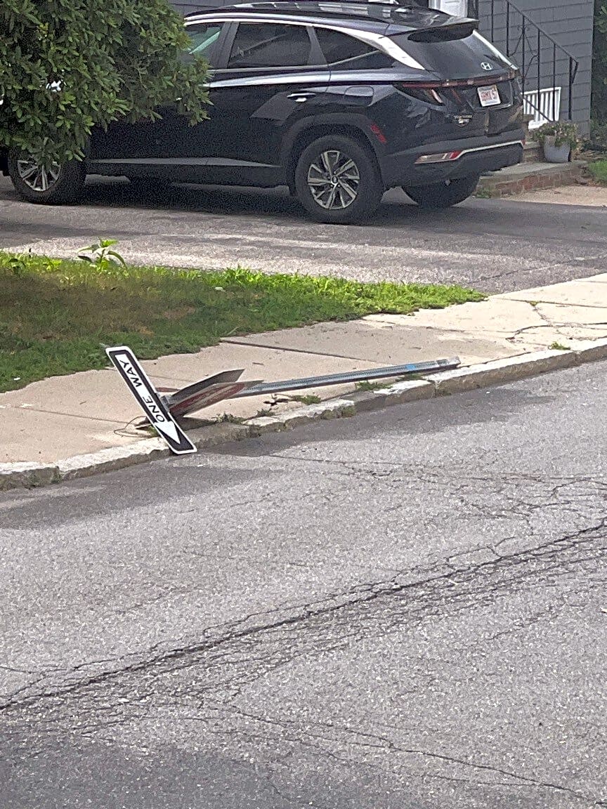 Image submitted with report
