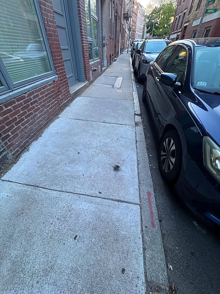 Image submitted with report