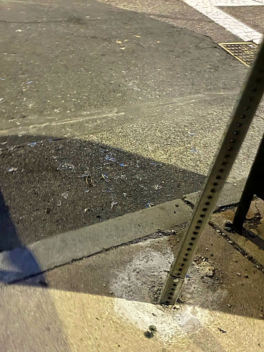 Image submitted with report
