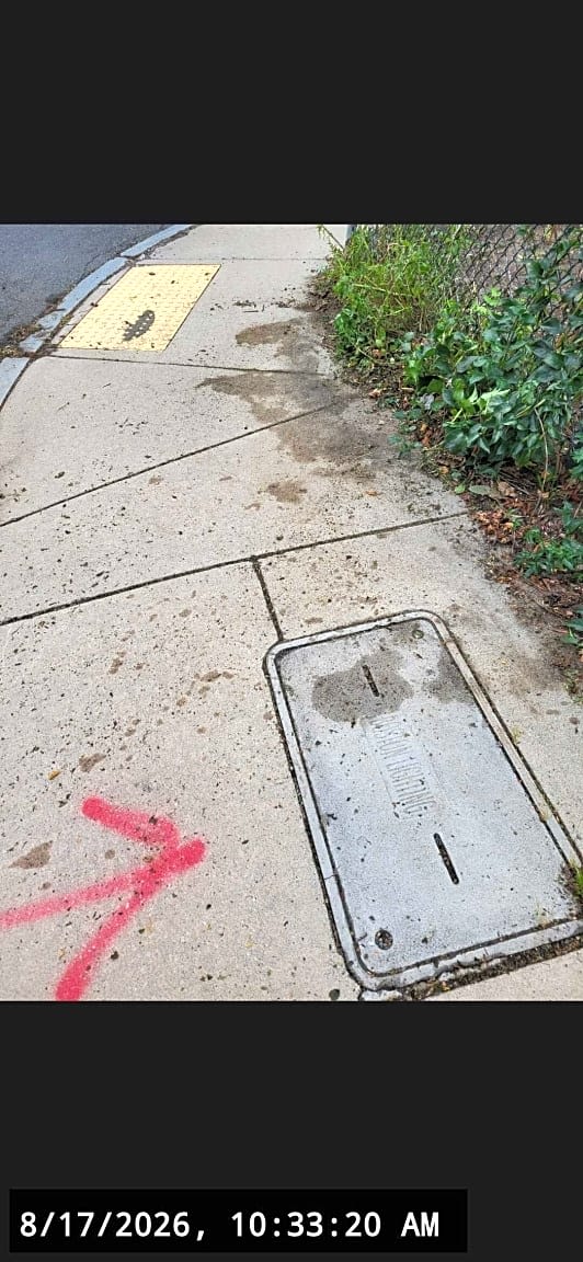 Image submitted with report