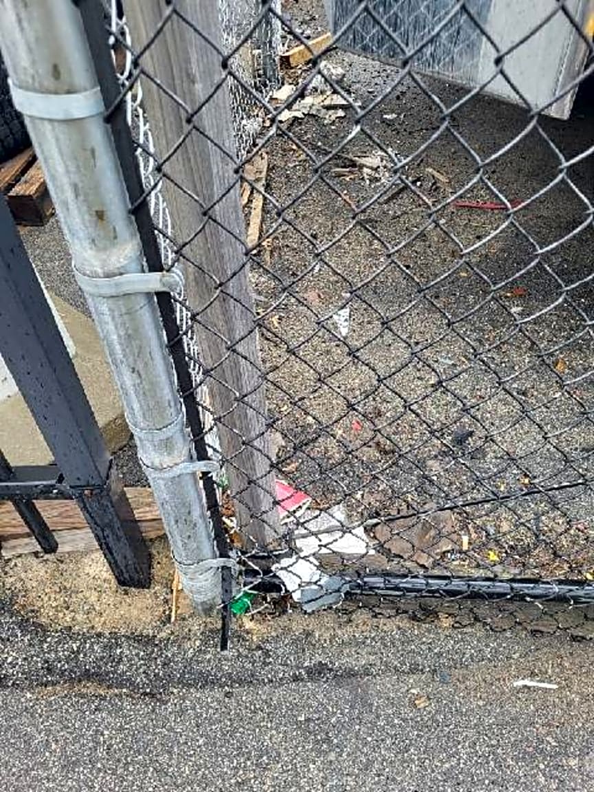 Image submitted with report