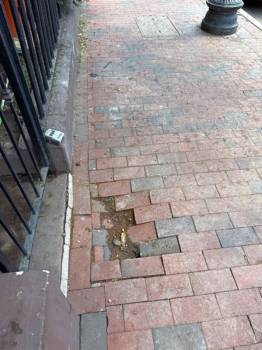 Image submitted with report