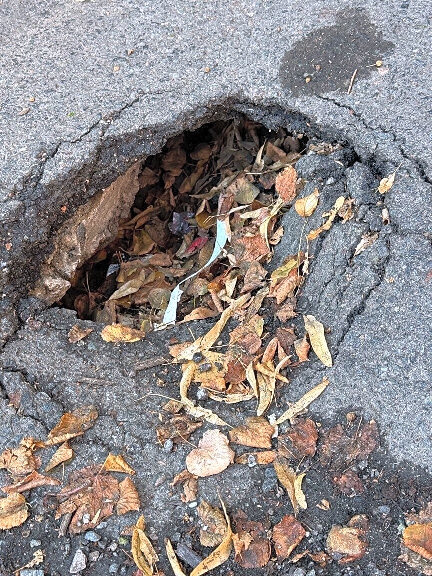 Image submitted with report