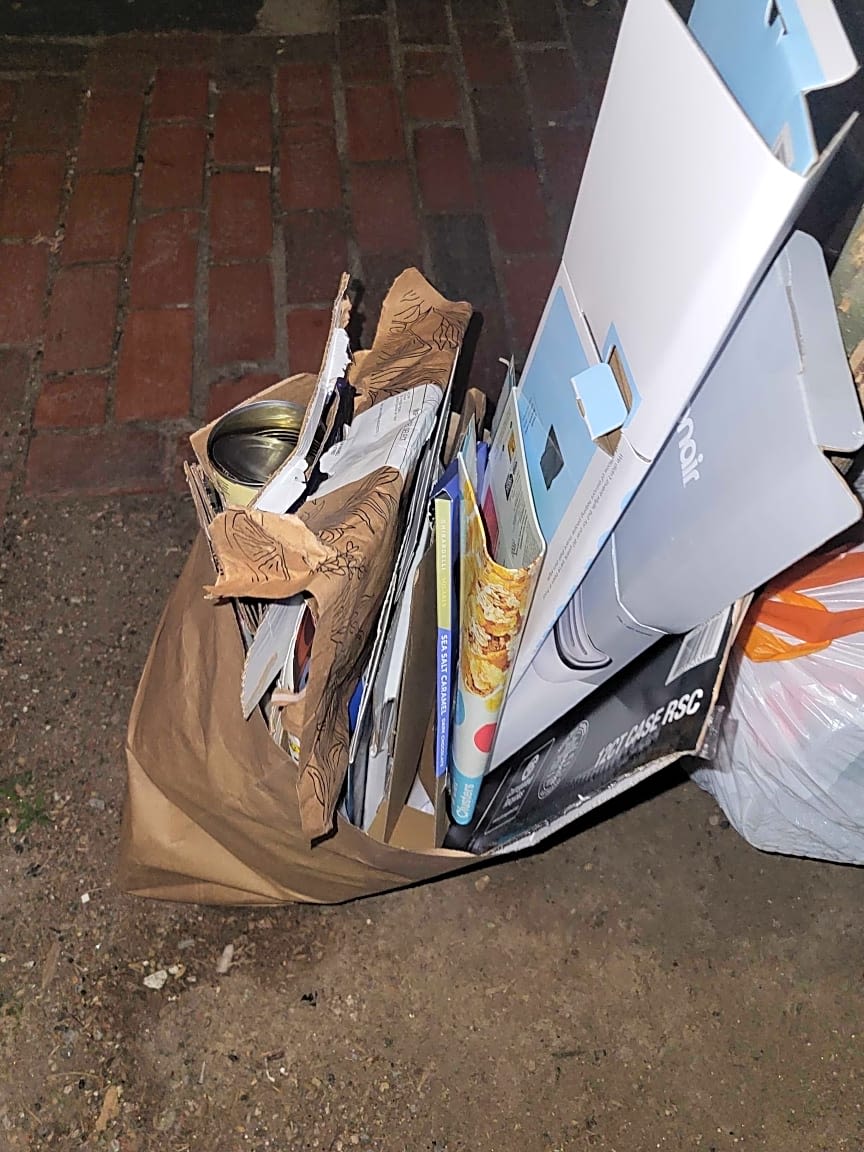 Image submitted with report