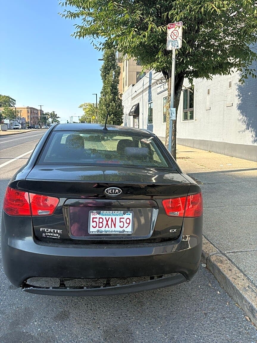 Image submitted with report