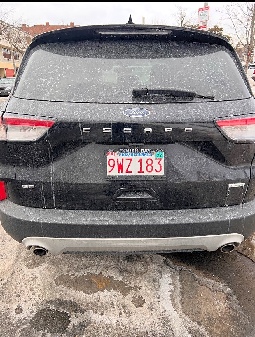 Image submitted with report