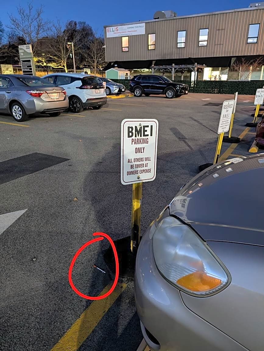 Image submitted with report