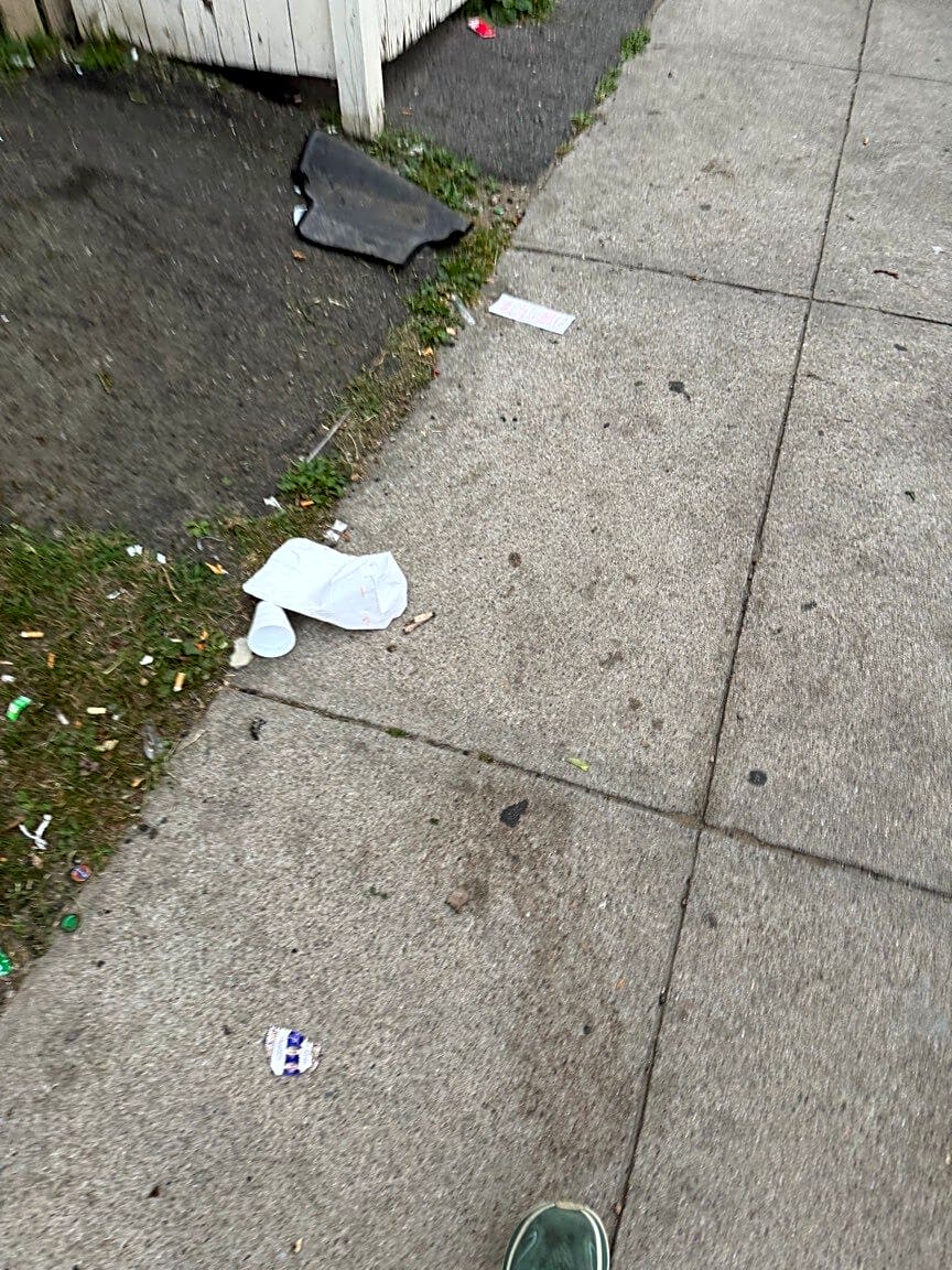 Image submitted with report