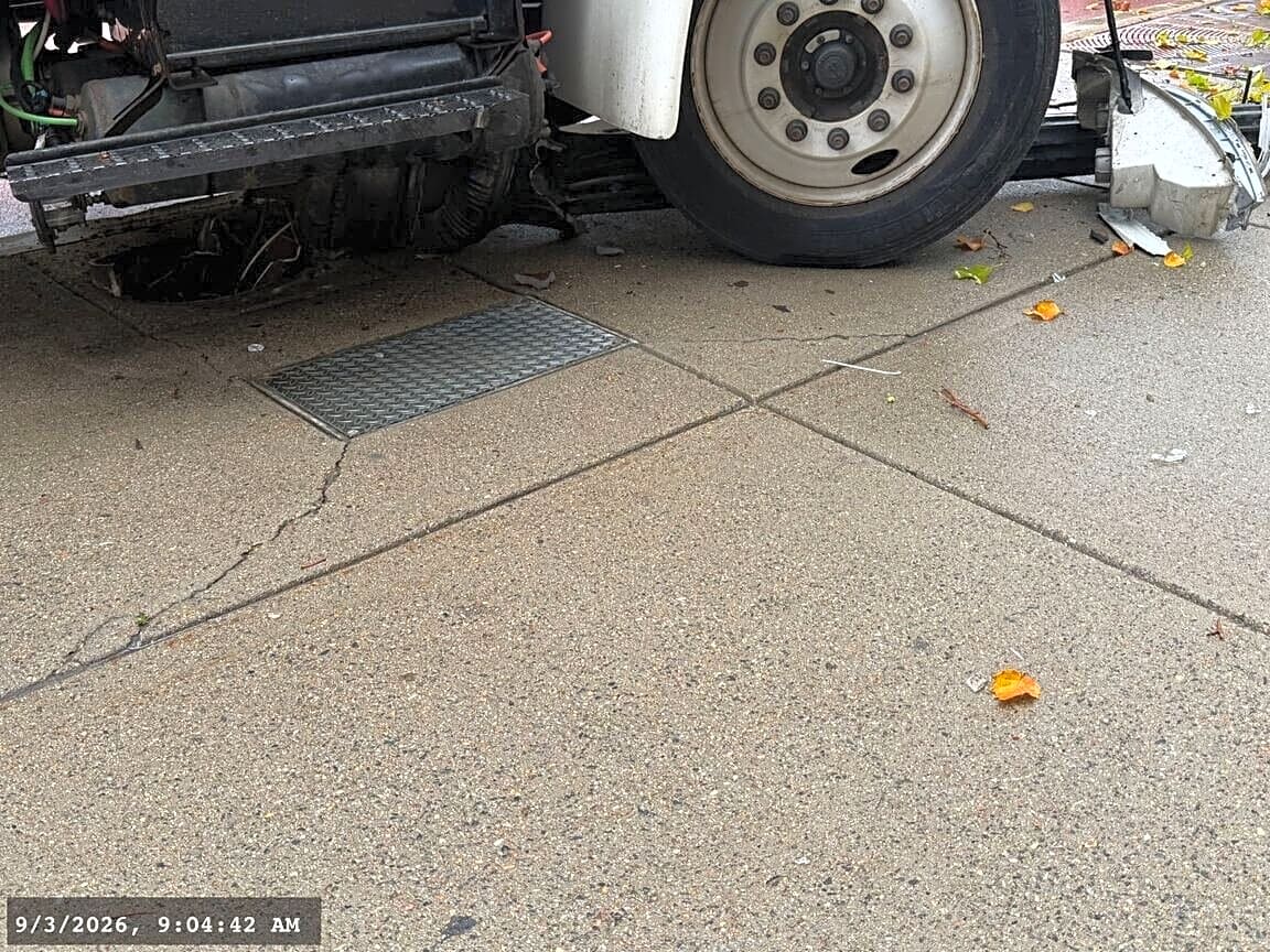Image submitted with report