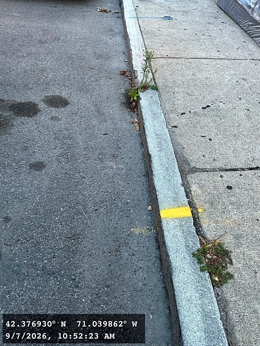 Image submitted with report