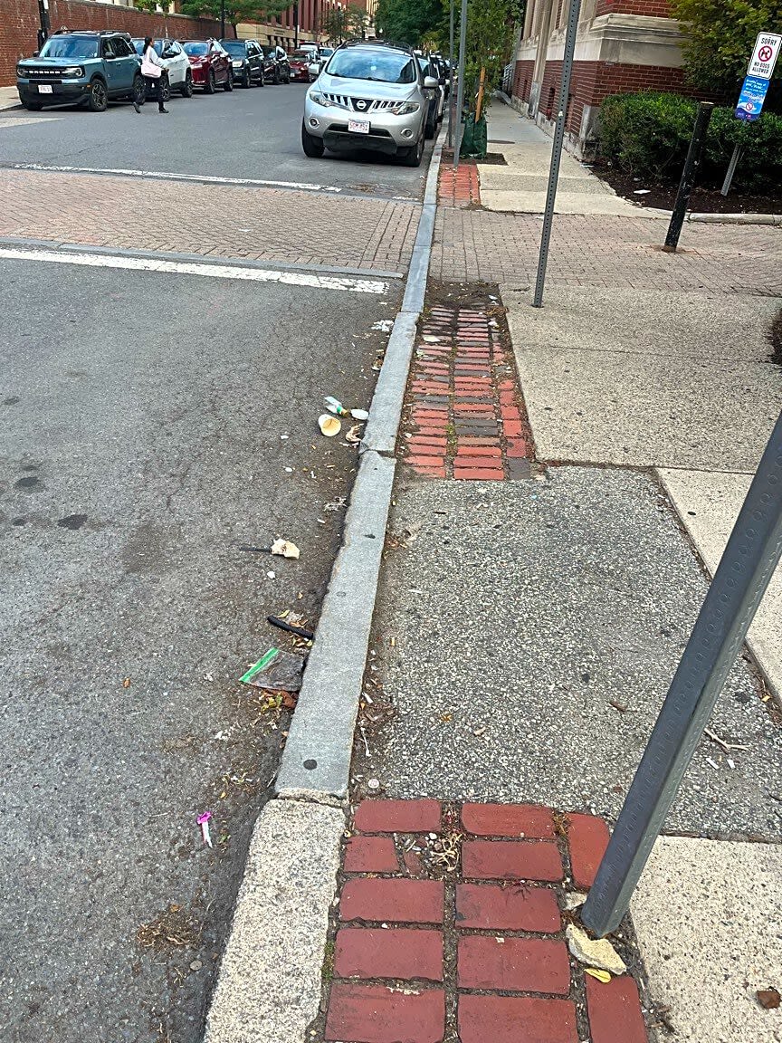 Image submitted with report