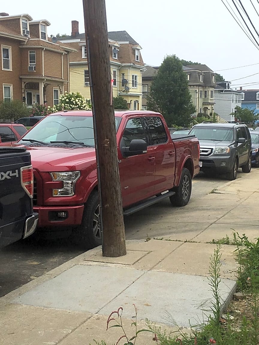 Image submitted with report