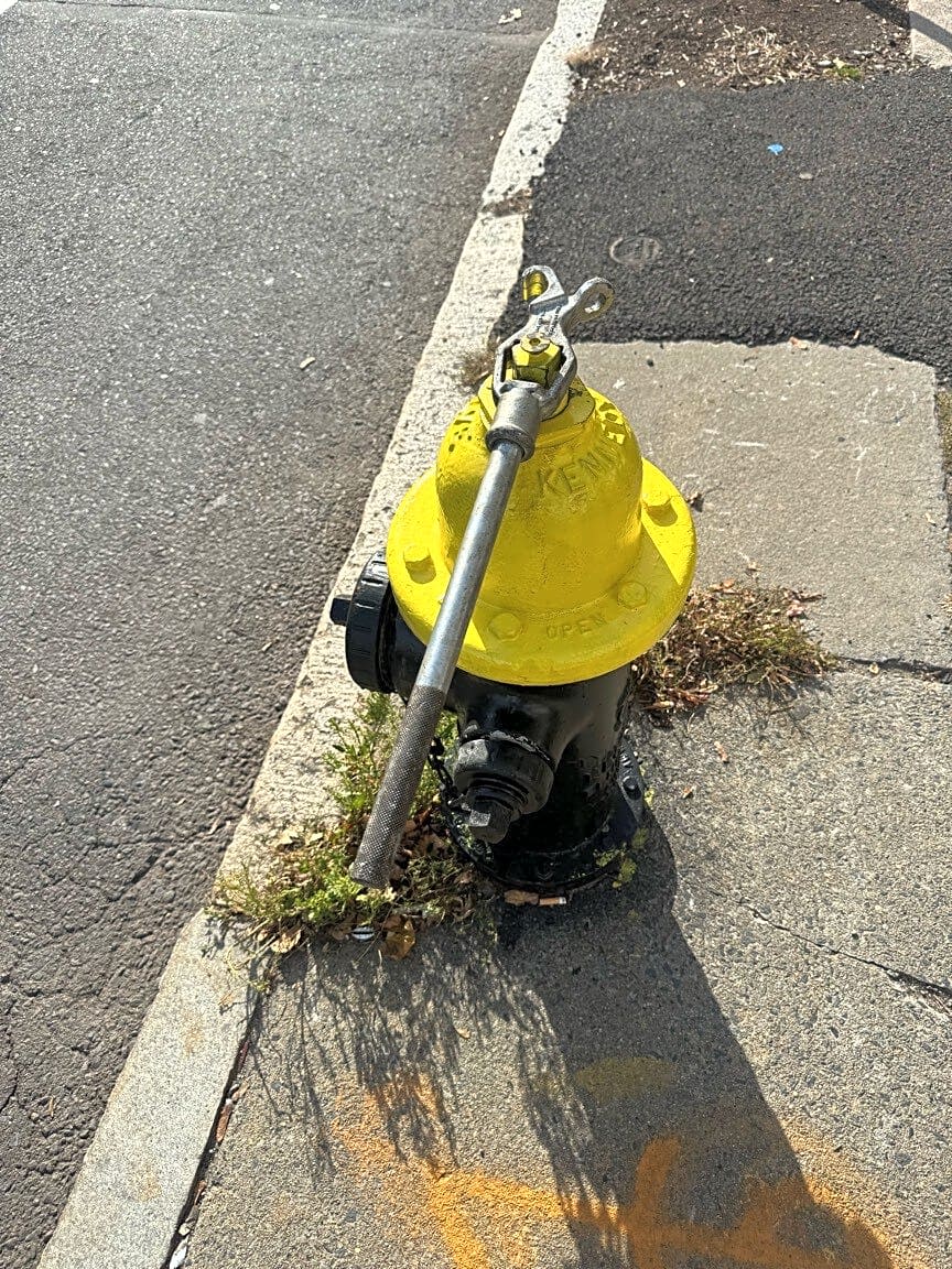 Image submitted with report