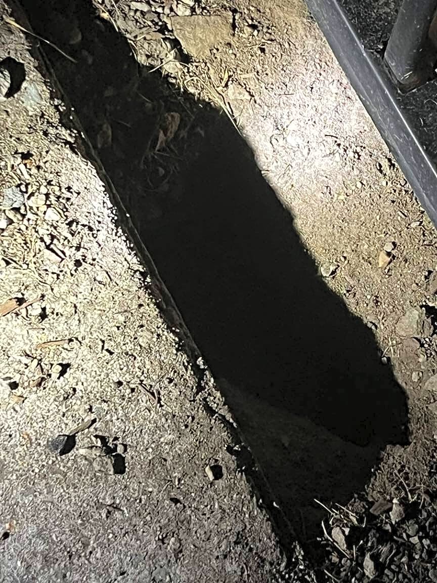 Image submitted with report