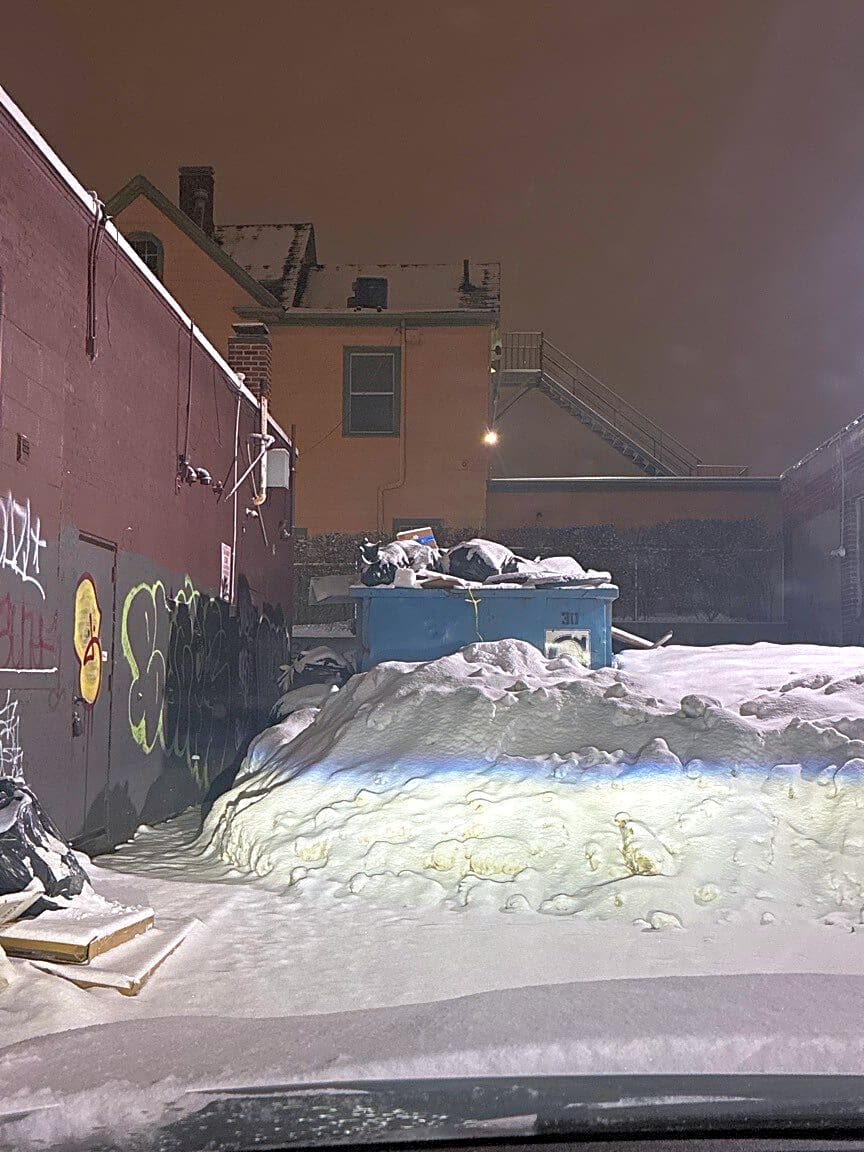 Image submitted with report