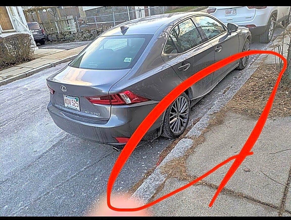 Image submitted with report